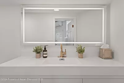 140 Maple Lane, Aspen, CO 81611 - Photo 22