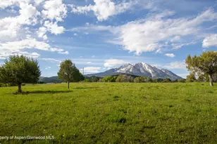 1634 Prince Creek Rd, Carbondale, CO 81623 - Photo 10