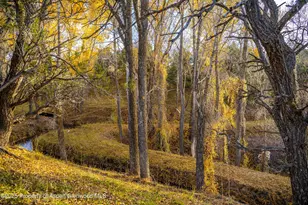 1634 Prince Creek Rd, Carbondale, CO 81623 - Photo 4