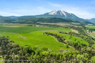 1634 Prince Creek Rd, Carbondale, CO 81623 - Photo 24