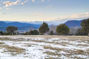 1634 Prince Creek Rd, Carbondale, CO 81623 - Photo 22