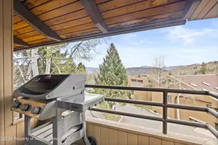 35 Lower Woodbridge Rd, Snowmass Village, CO 81615 - Photo 24