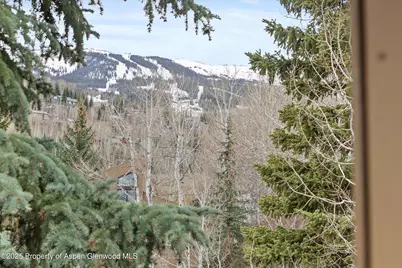 35 Lower Woodbridge Road #W 184, Snowmass Village, CO 81615 - Photo 30