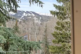 35 Lower Woodbridge Rd, Snowmass Village, CO 81615 - Photo 30