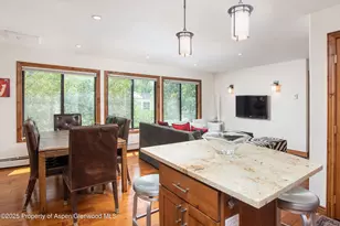 725 E Main St, Aspen, CO 81611 - Photo 8