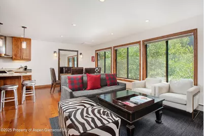 725 E Main Street #309, Aspen, CO 81611 - Photo 1