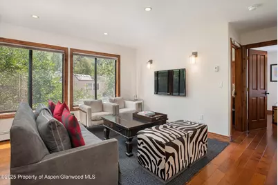 725 E Main Street #309, Aspen, CO 81611 - Photo 2