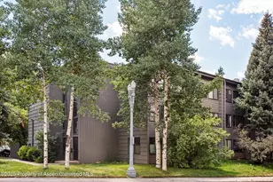 725 E Main St, Aspen, CO 81611 - Photo 12