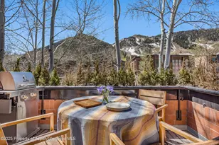 708 E Hyman Ave, Aspen, CO 81611 - Photo 10