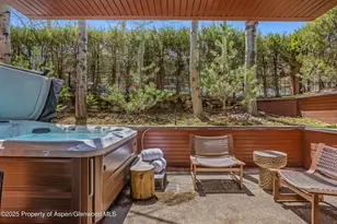 708 E Hyman Ave, Aspen, CO 81611 - Photo 40