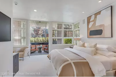 708 E Hyman Avenue, Aspen, CO 81611 - Photo 26