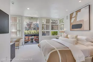 708 E Hyman Ave, Aspen, CO 81611 - Photo 26