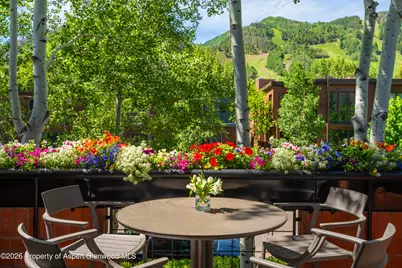 708 E Hyman Avenue, Aspen, CO 81611 - Photo 6