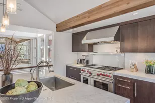 708 E Hyman Ave, Aspen, CO 81611 - Photo 20