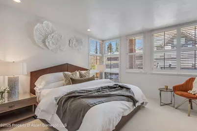708 E Hyman Avenue, Aspen, CO 81611 - Photo 34