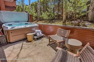 708 E Hyman Ave, Aspen, CO 81611 - Photo 46