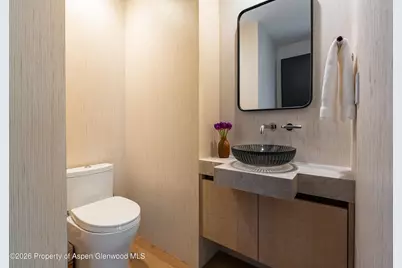 708 E Hyman Avenue, Aspen, CO 81611 - Photo 28