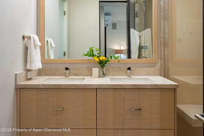 708 E Hyman Avenue, Aspen, CO 81611 - Photo 24