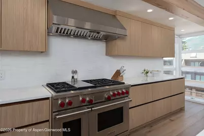 708 E Hyman Avenue, Aspen, CO 81611 - Photo 14