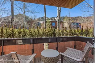 708 E Hyman Ave, Aspen, CO 81611 - Photo 28