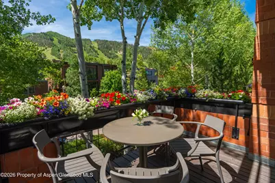 708 E Hyman Avenue, Aspen, CO 81611 - Photo 40