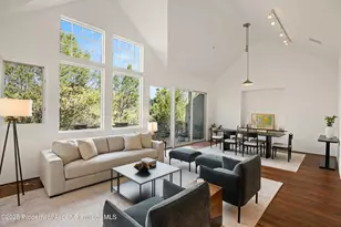 302 Wild Spring Ln, Basalt, CO 81621 - Photo 8