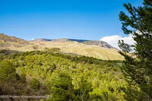 302 Wild Spring Ln, Basalt, CO 81621 - Photo 28