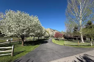 495 Co Rd 167, Glenwood Springs, CO 81601 - Photo 4