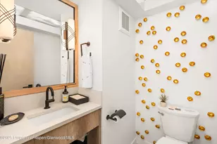 929 E E Durant Ave Ave, Aspen, CO 81611 - Photo 30