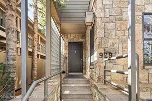 929 E E Durant Ave Ave, Aspen, CO 81611 - Photo 38