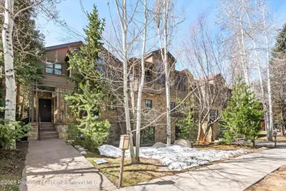 929 E E Durant Avenue Avenue #4, Aspen, CO 81611 - Photo 40