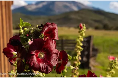 1644 Prince Creek Road, Carbondale, CO 81623 - Photo 16