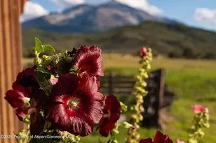 1644 Prince Creek Rd, Carbondale, CO 81623 - Photo 16
