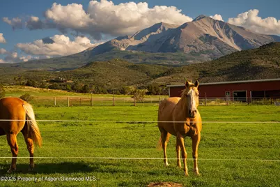 1644 Prince Creek Road, Carbondale, CO 81623 - Photo 72