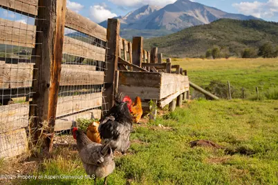 1644 Prince Creek Road, Carbondale, CO 81623 - Photo 14