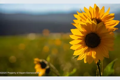 1644 Prince Creek Road, Carbondale, CO 81623 - Photo 24