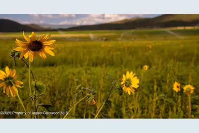 1644 Prince Creek Road, Carbondale, CO 81623 - Photo 70