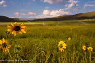 1644 Prince Creek Rd, Carbondale, CO 81623 - Photo 70