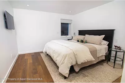 1018 E Hyman Avenue #Unit 1, Aspen, CO 81611 - Photo 10