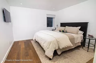 1018 E Hyman Ave, Aspen, CO 81611 - Photo 10