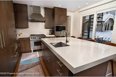 1018 E Hyman Avenue #Unit 1, Aspen, CO 81611 - Photo 4