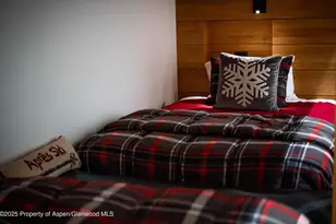 1018 E Hyman Ave, Aspen, CO 81611 - Photo 20