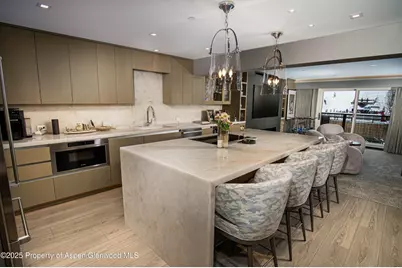 555 E Durant Avenue #3C, Aspen, CO 81611 - Photo 8