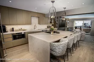 555 E Durant Ave, Aspen, CO 81611 - Photo 8