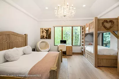 350 Spruce Ridge Lane, Snowmass Village, CO 81615 - Photo 22