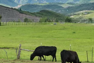 260 Star Mesa Rd, Aspen, CO 81611 - Photo 30