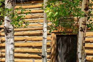 260 Star Mesa Rd, Aspen, CO 81611 - Photo 32