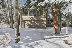 645 Sneaky Ln, Aspen, CO 81611 - Photo 8