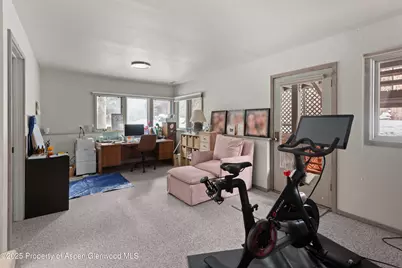645 Sneaky Lane, Aspen, CO 81611 - Photo 24