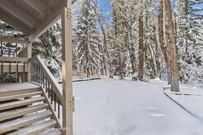 645 Sneaky Lane, Aspen, CO 81611 - Photo 12